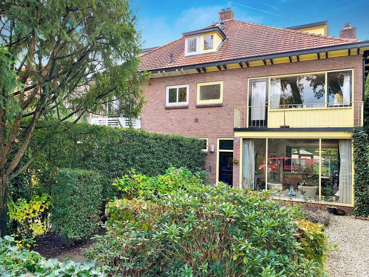 Afbeelding 1 van 24