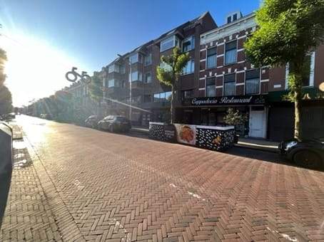 Afbeelding 1 van 12