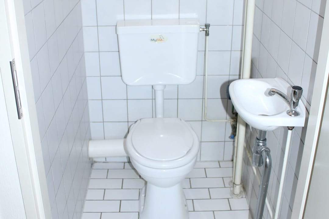 Image 8 of 10
