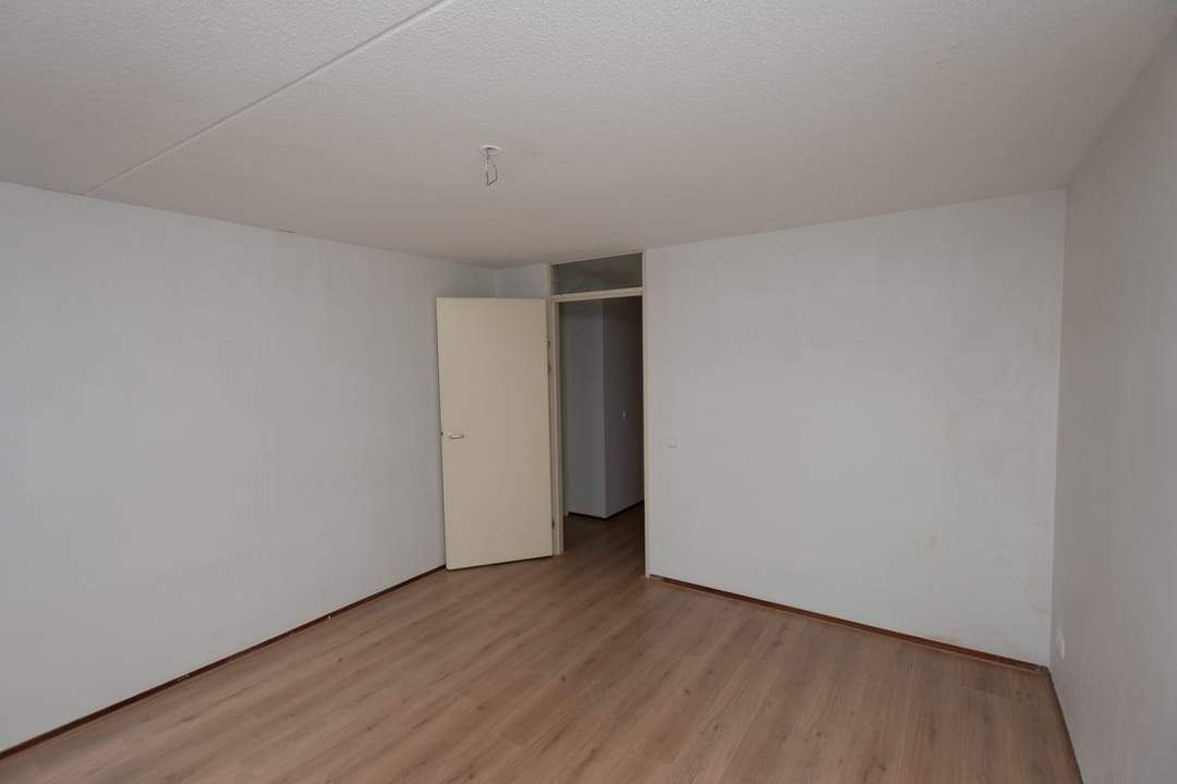 Image 11 of 20