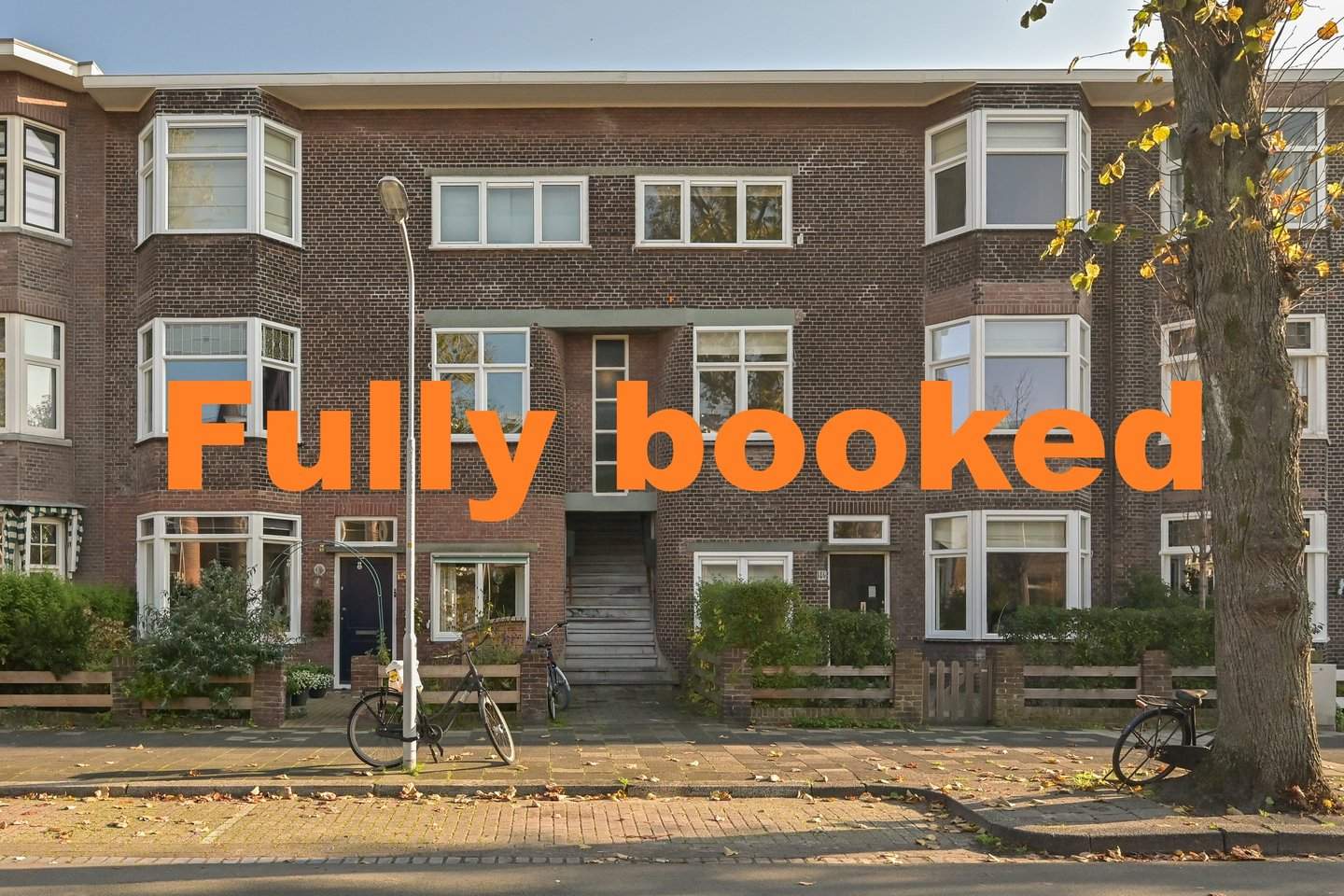 Afbeelding 1 van 12