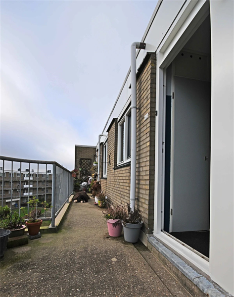 Image 12 of 12