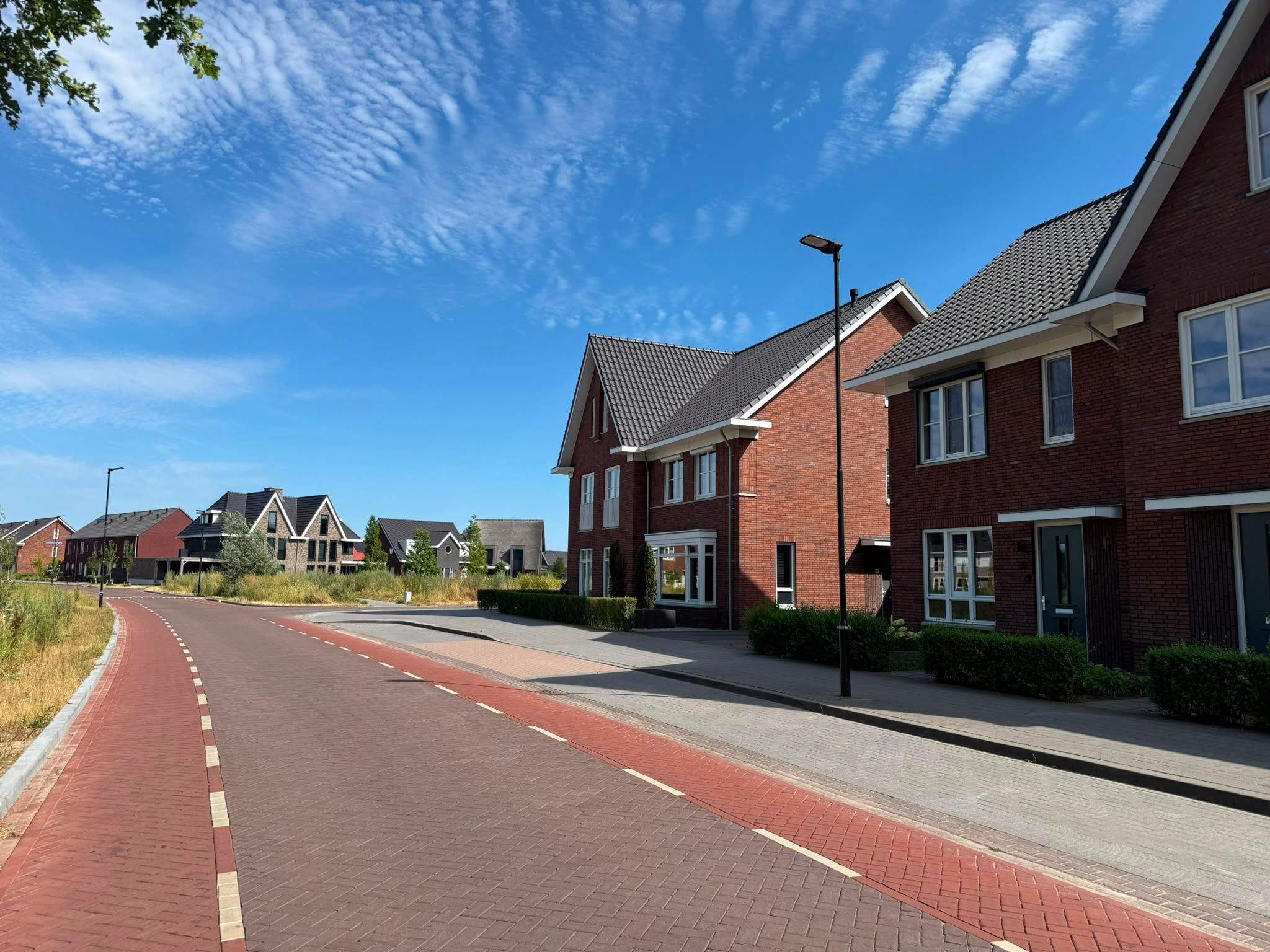 Afbeelding 3 van 8