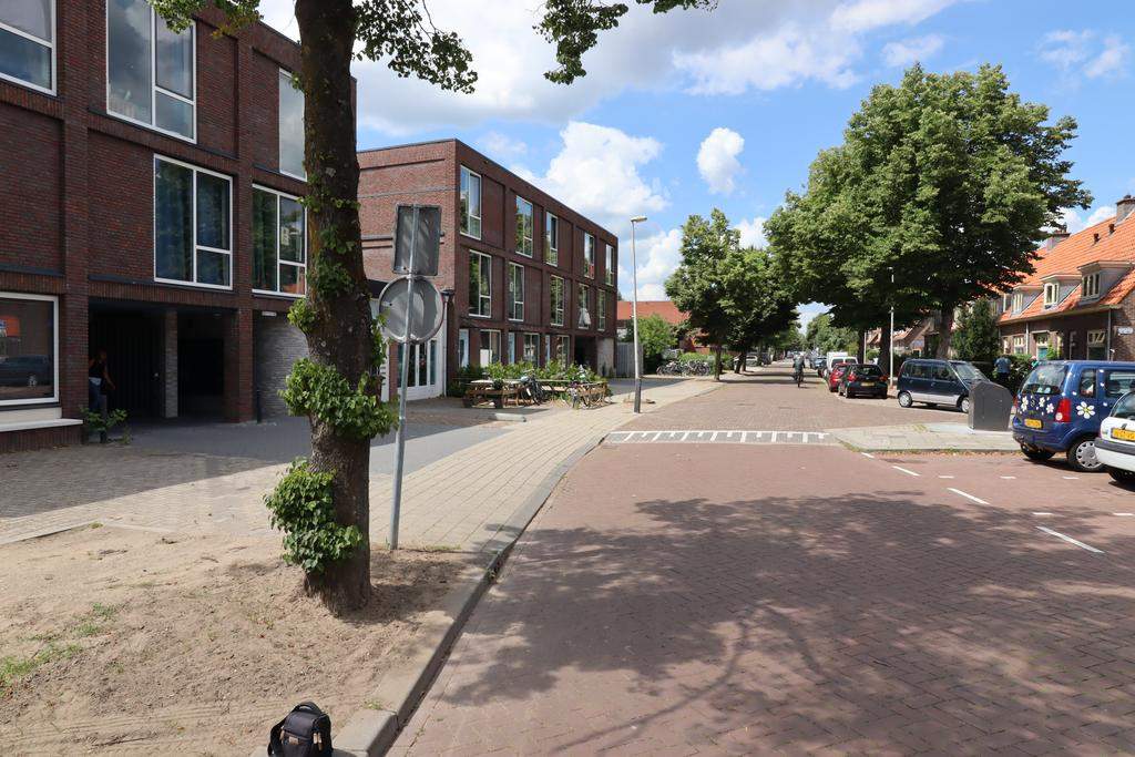 Afbeelding 1 van 8