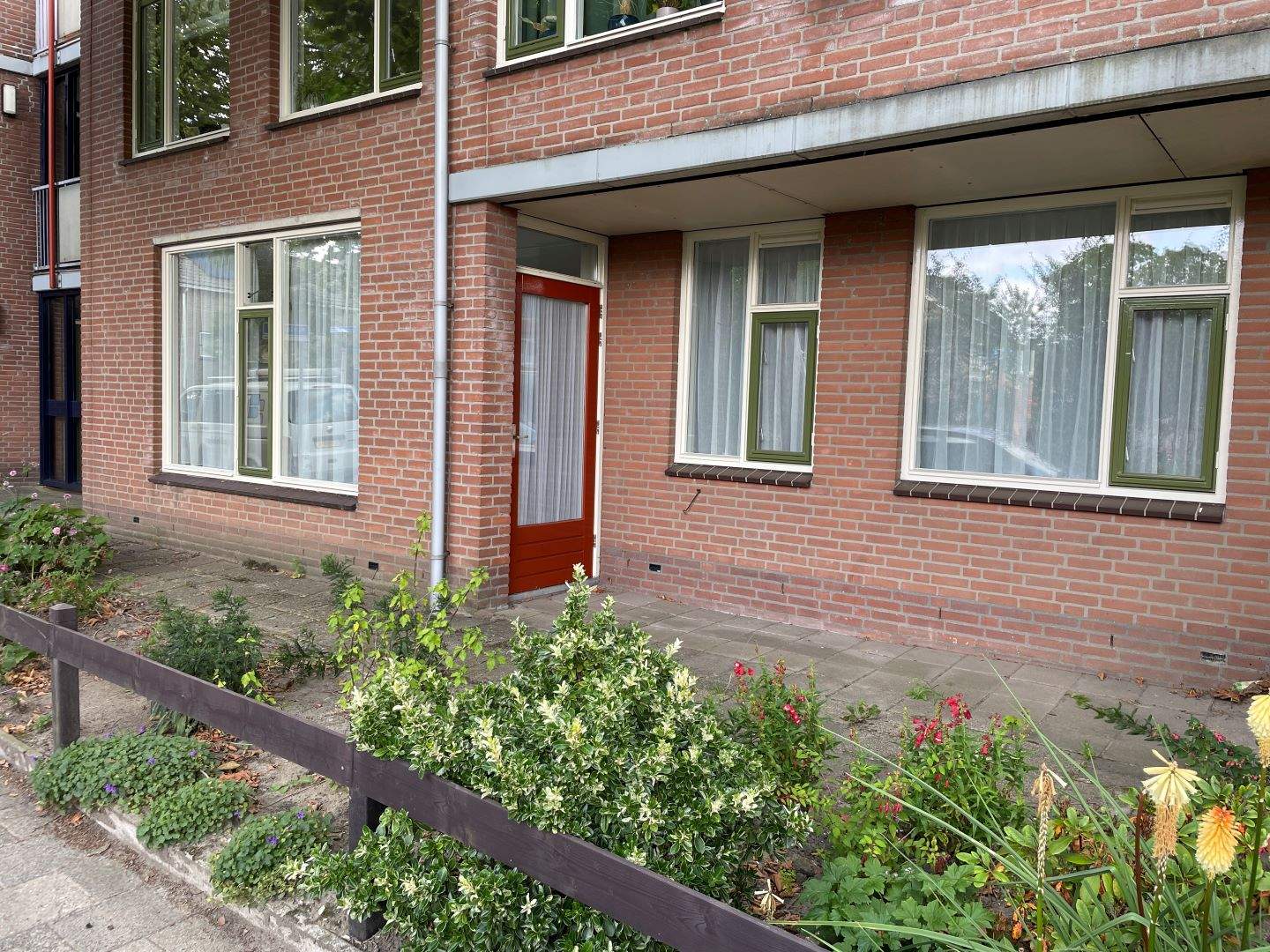Afbeelding 3 van 13