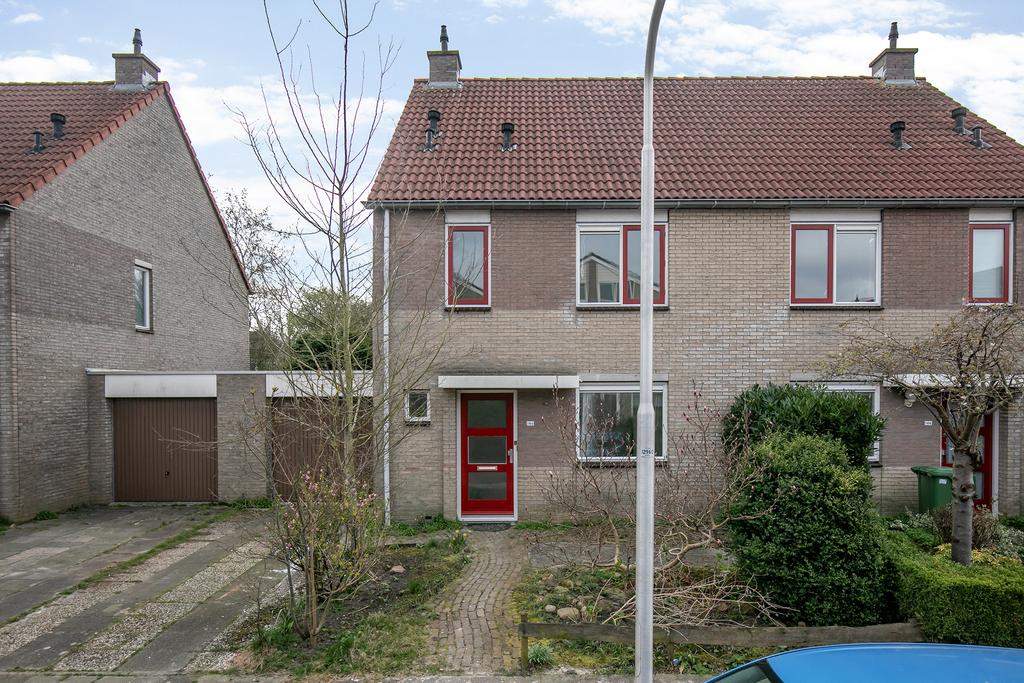 Afbeelding 1 van 12