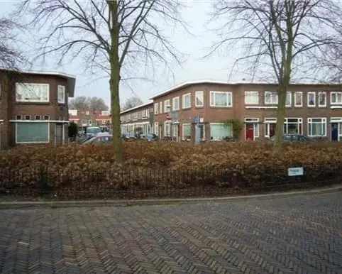 Afbeelding 10 van 10