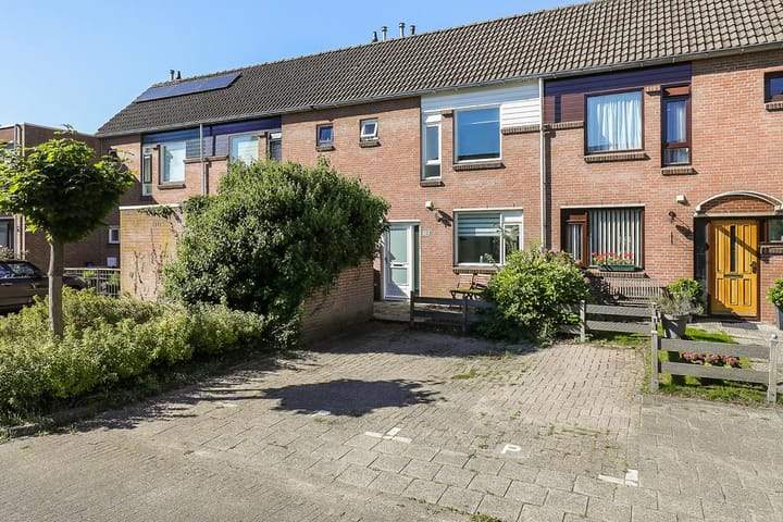 Afbeelding 1 van 40