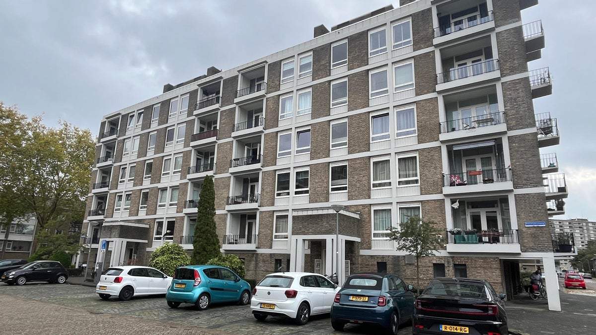 Afbeelding 1 van 33