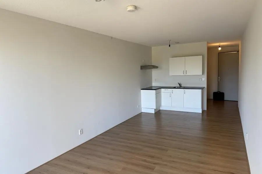 Image 4 of 20