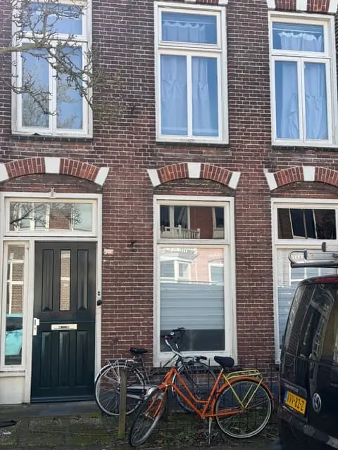 Image 10 of 10
