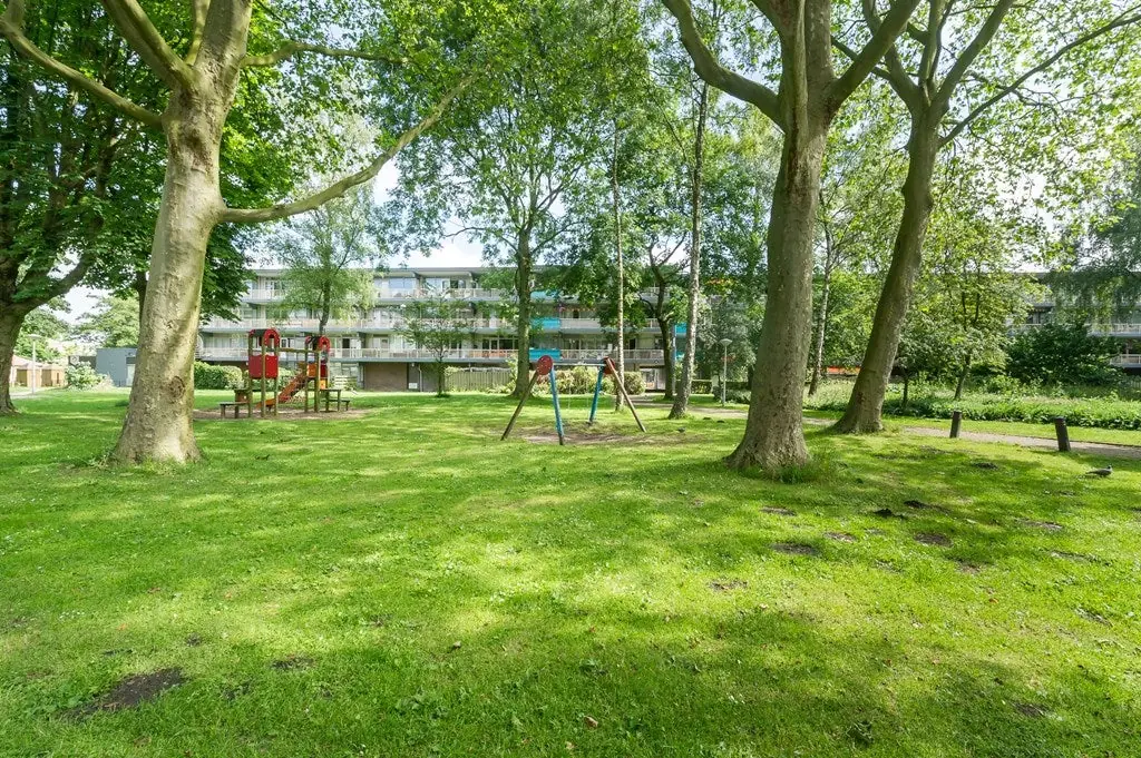 Image 23 of 25