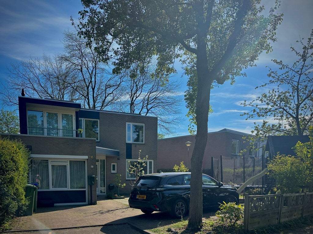 Afbeelding 1 van 25