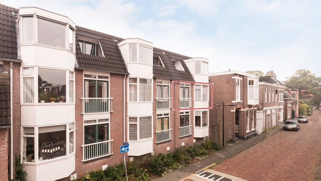 Afbeelding 3 van 17