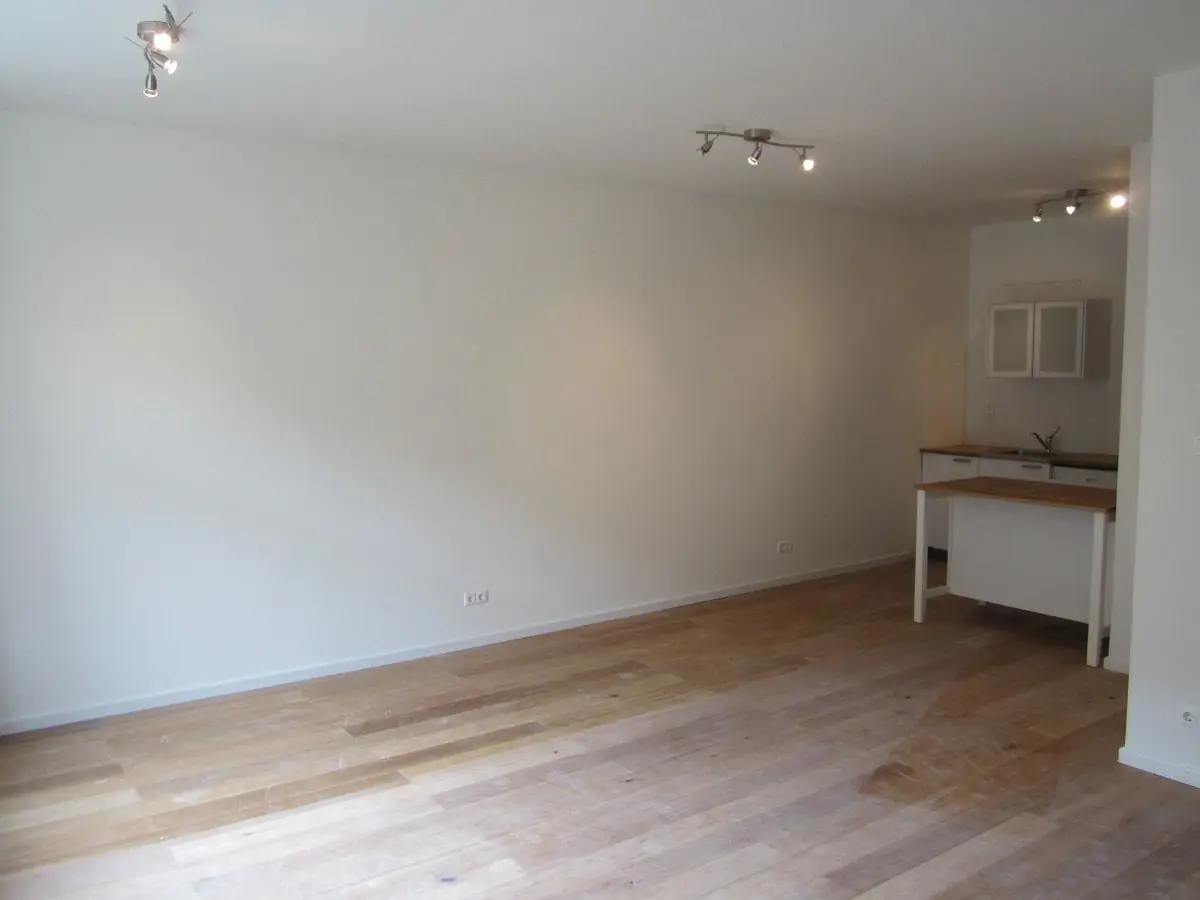 Image 7 of 20