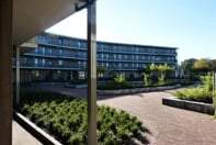 Afbeelding 3 van 7