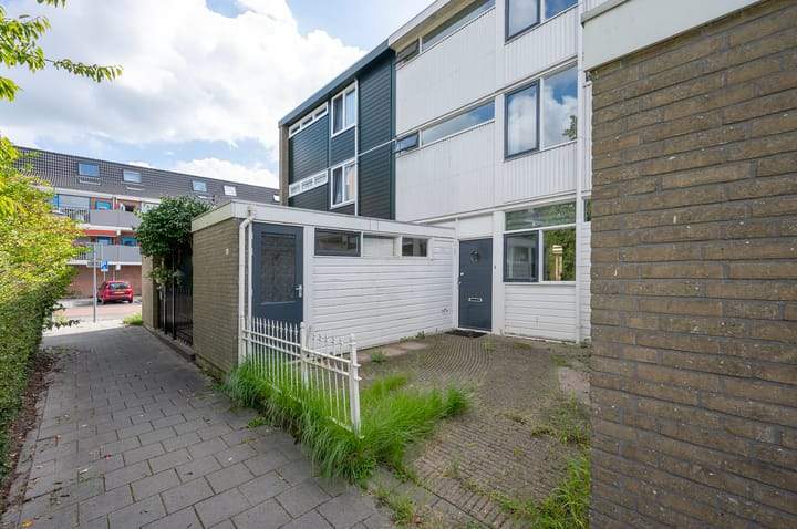 Afbeelding 1 van 41