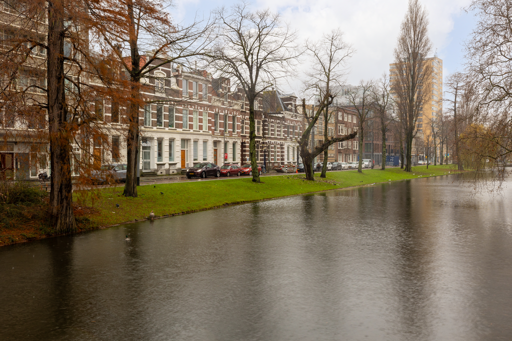 Afbeelding 1 van 20
