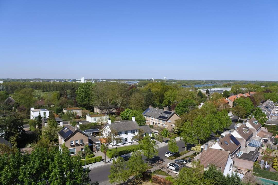 Afbeelding 22 van 25