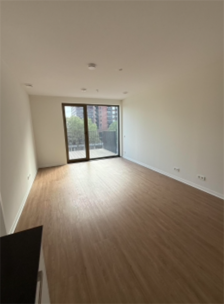 Image 10 of 12