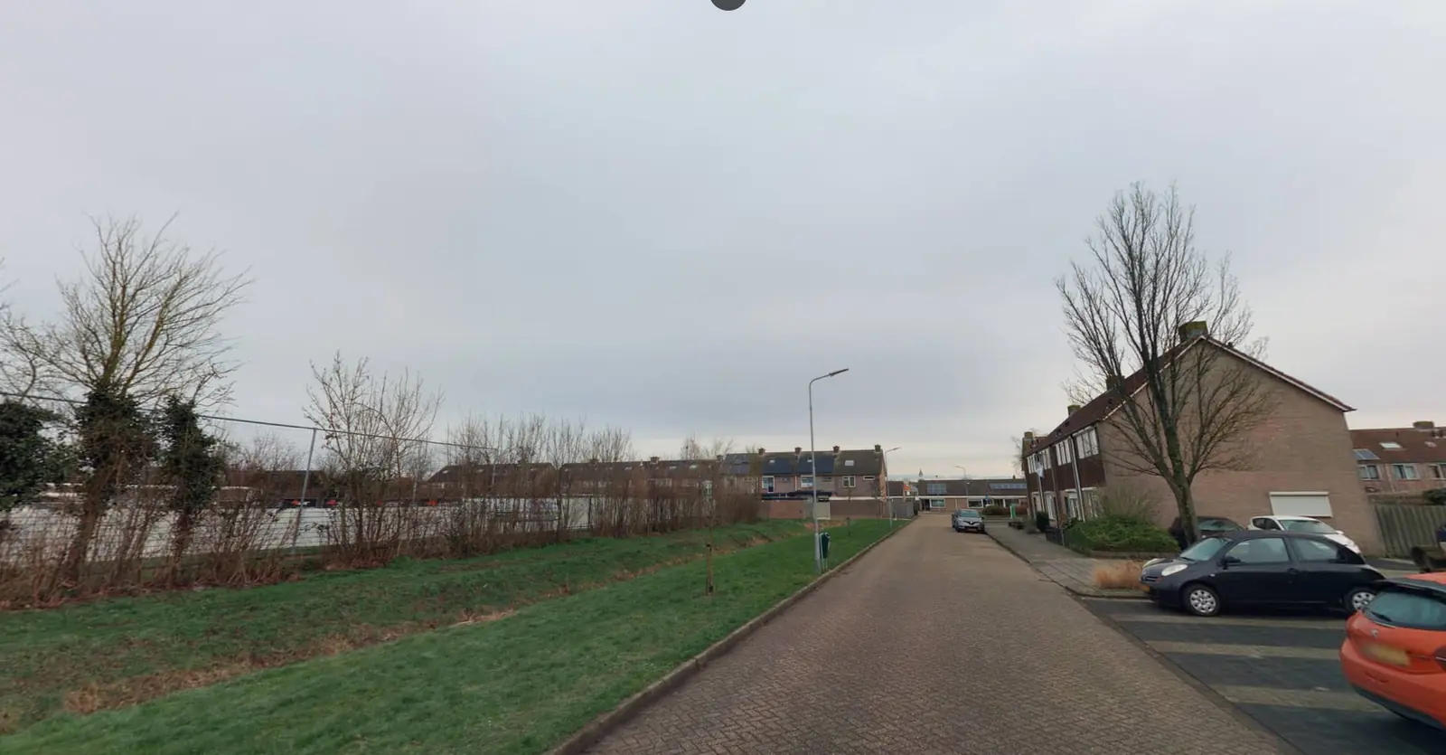 Afbeelding 3 van 3