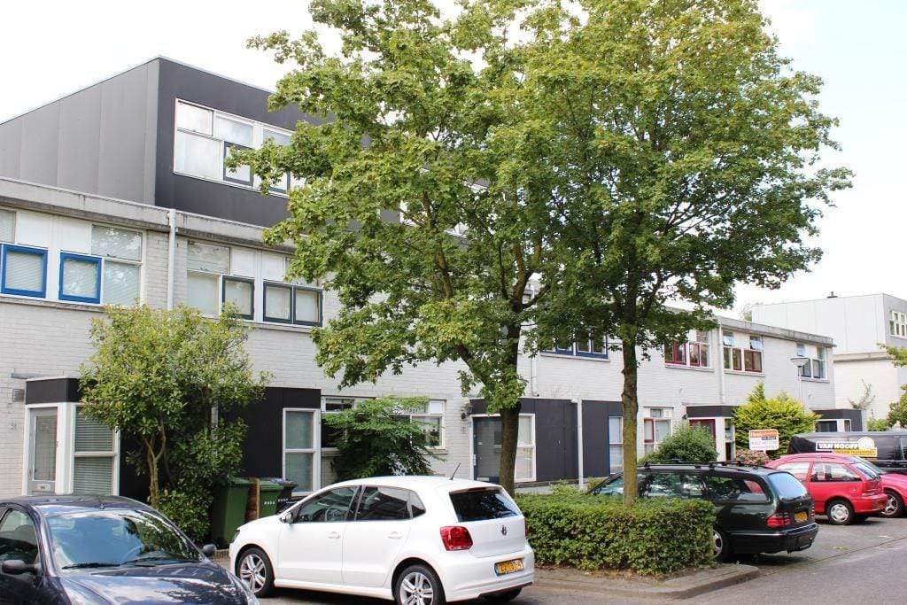 Afbeelding 2 van 12