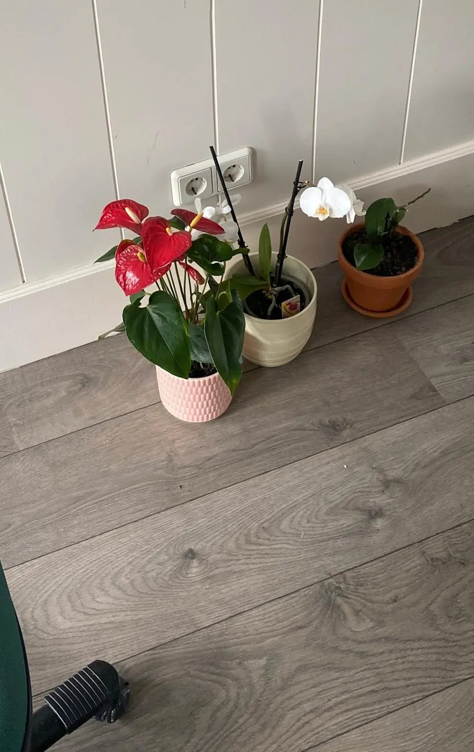 Afbeelding 5 van 24