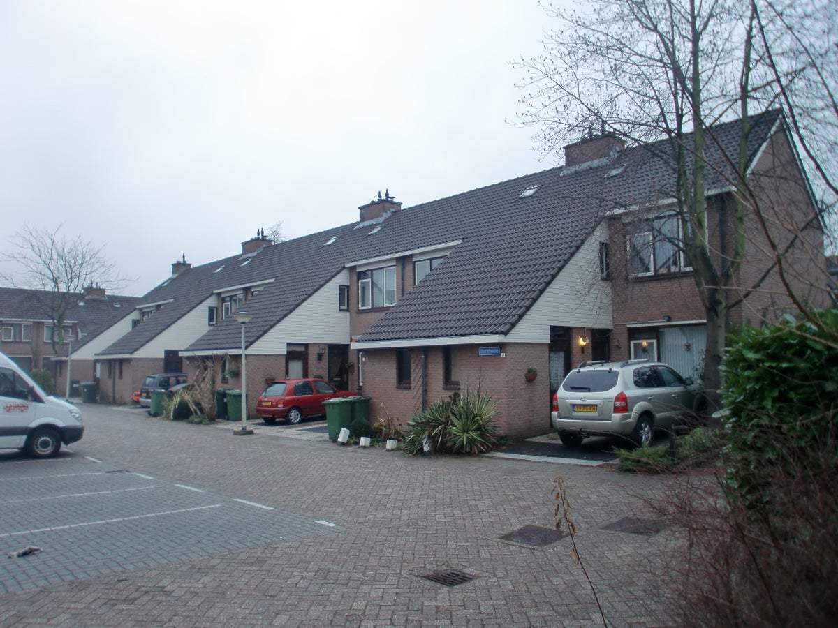 Afbeelding 1 van 5