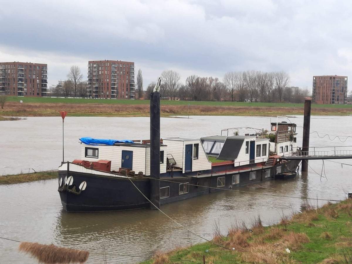 Afbeelding 3 van 28