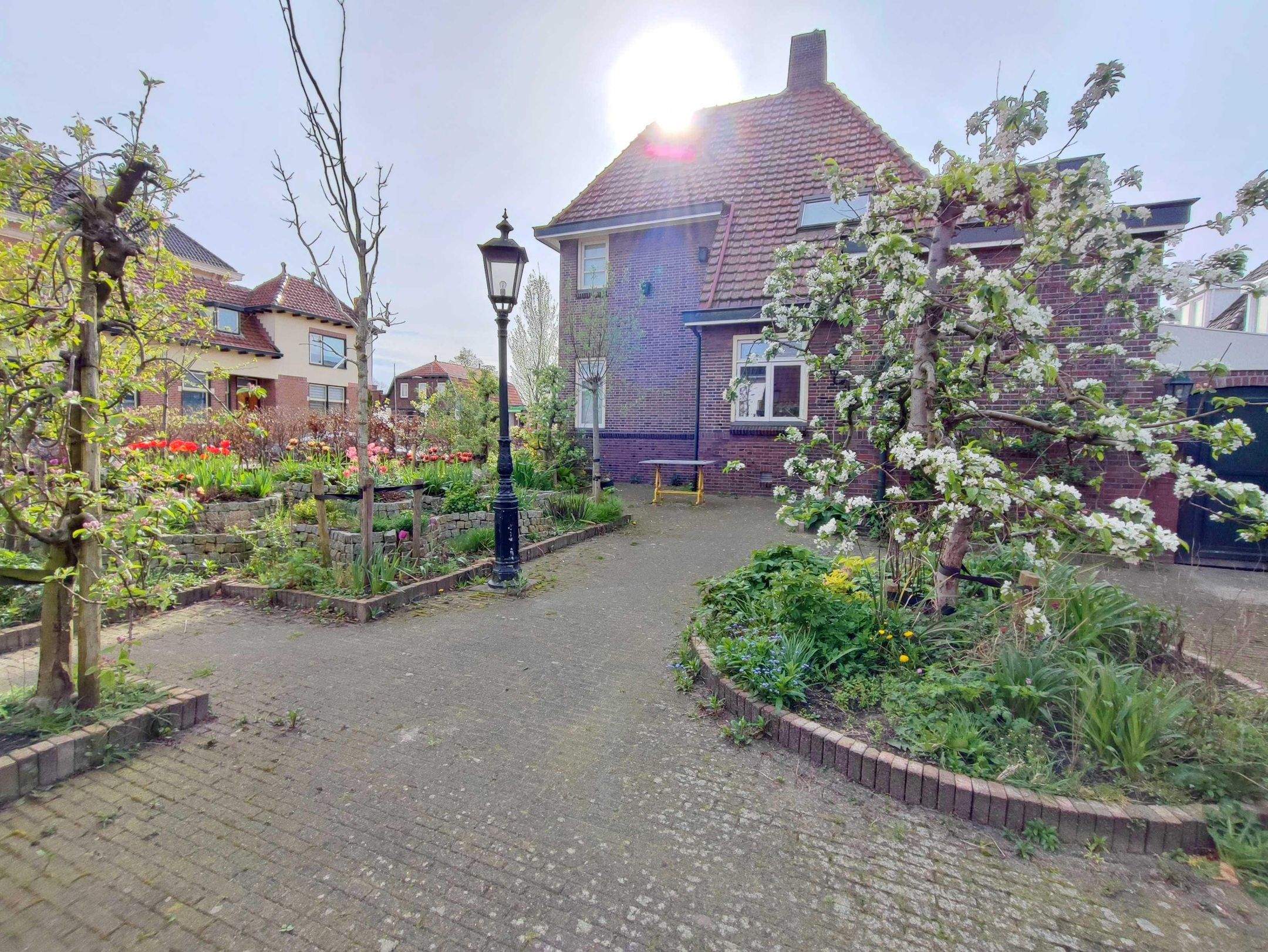 Afbeelding 45 van 50
