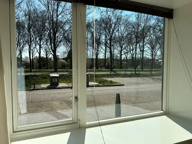 Image 2 of 8