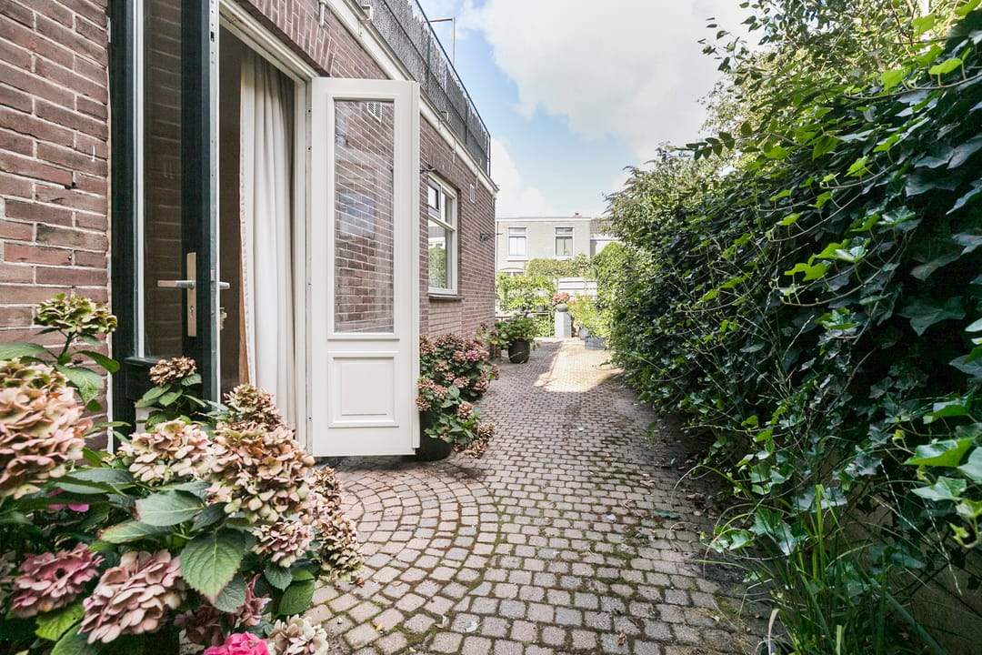 Afbeelding 32 van 43