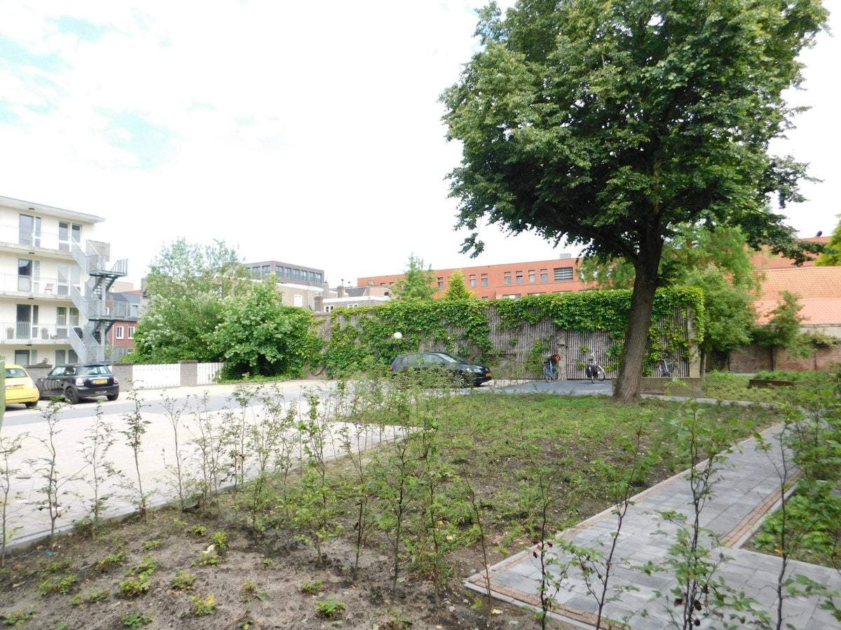 Bild 12 von 15