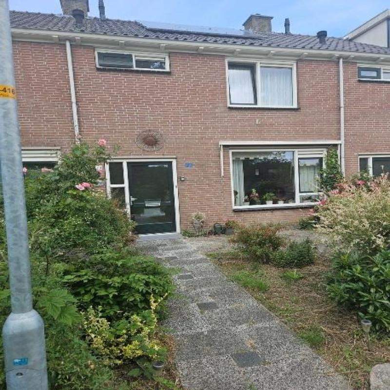 Afbeelding 4 van 5