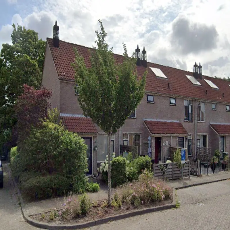 Afbeelding 1 van 1