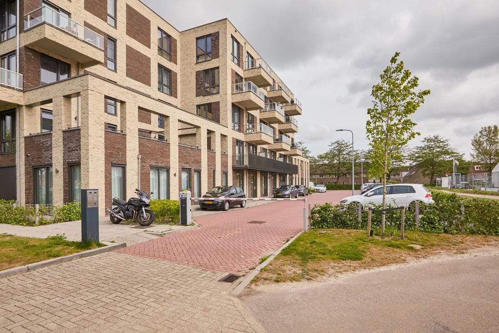 Afbeelding 7 van 46