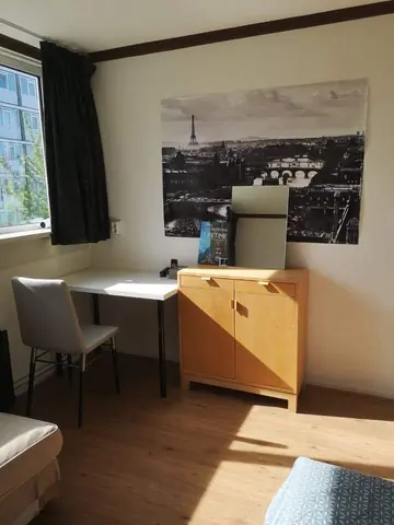 Habitación amueblada en Loderstraat, Róterdam - En alquiler