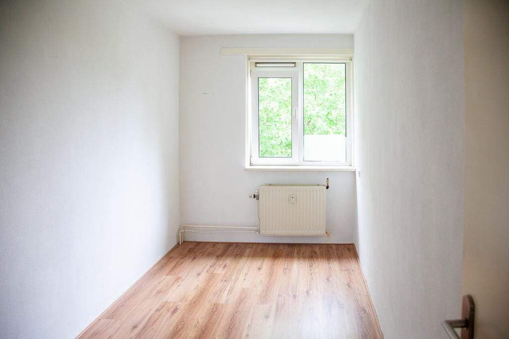 Bild 12 von 14