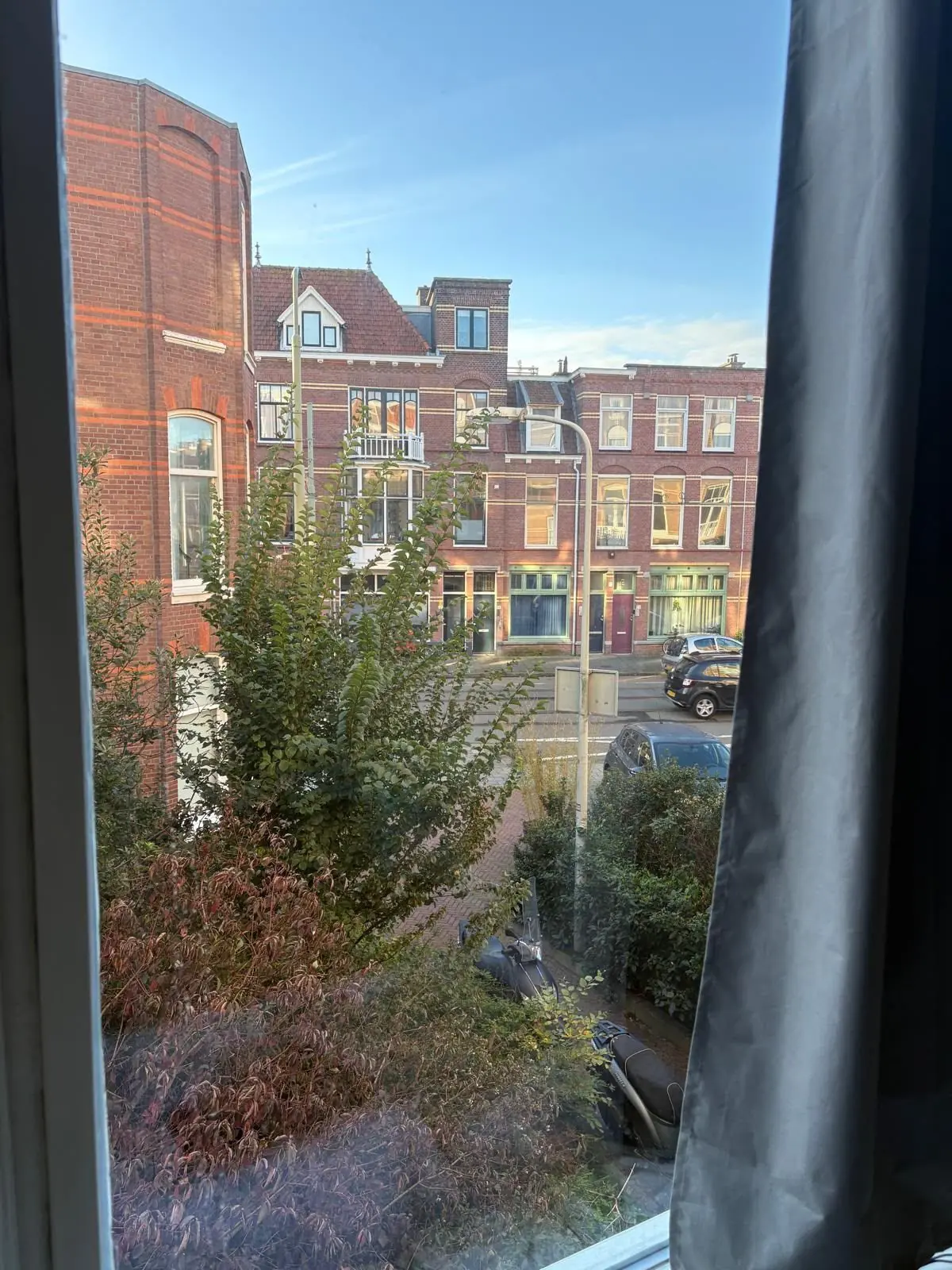 Image 6 of 8