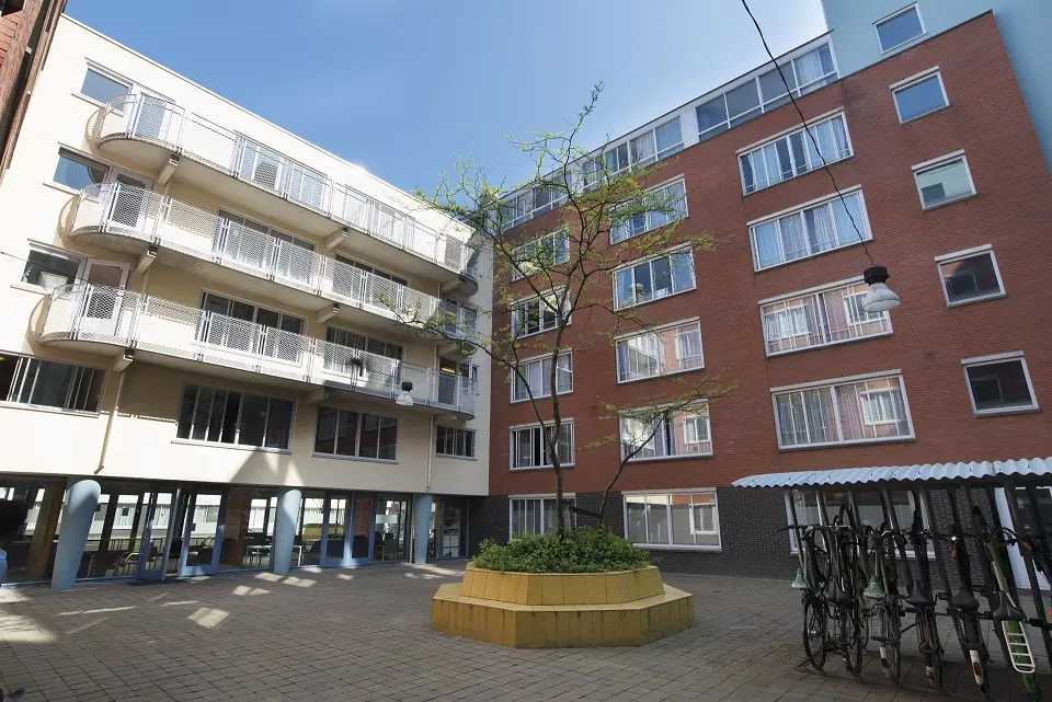 Image 15 of 18