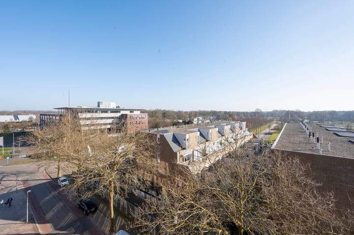 Afbeelding 20 van 25
