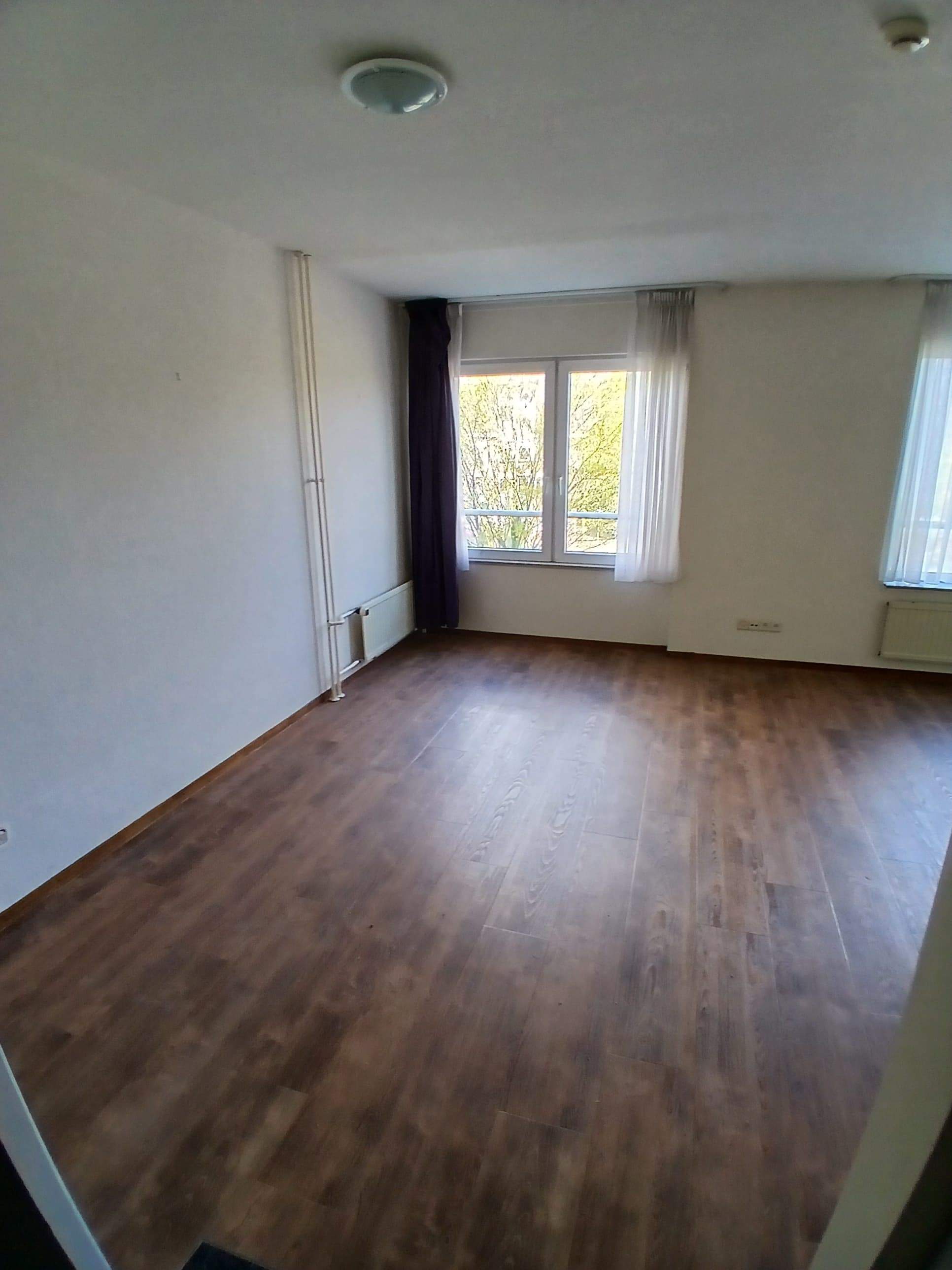 Bild 3 von 3