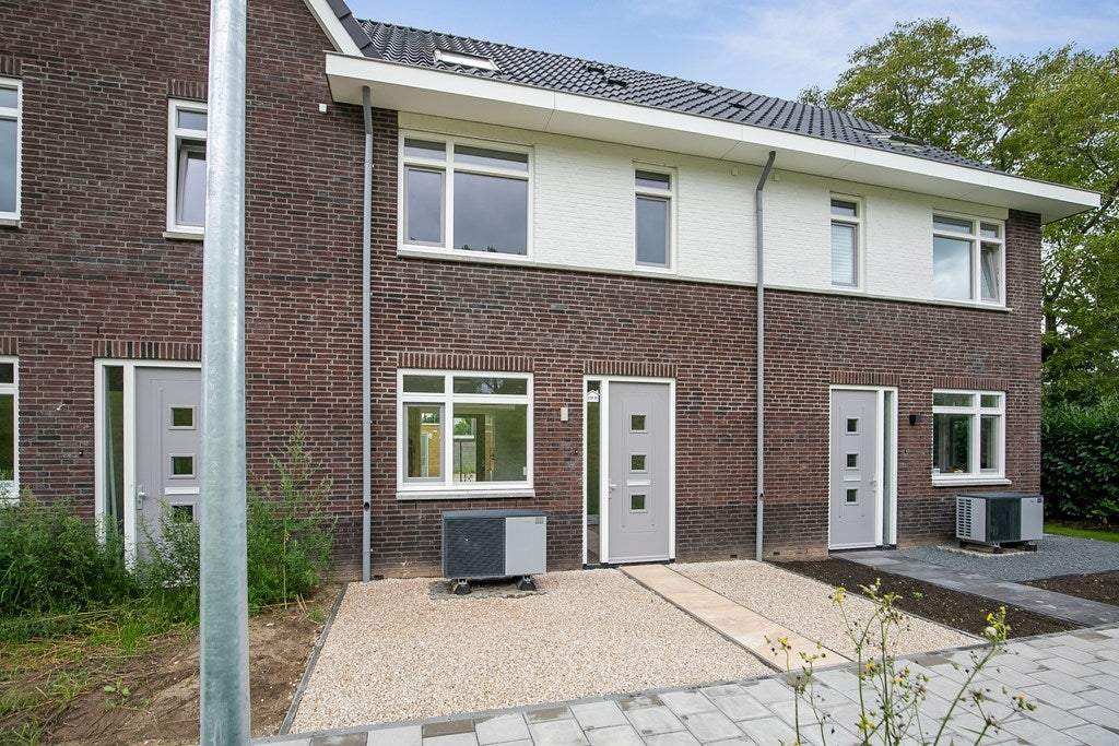 Afbeelding 3 van 53