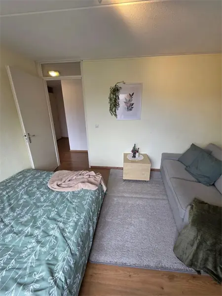 Image 6 of 15