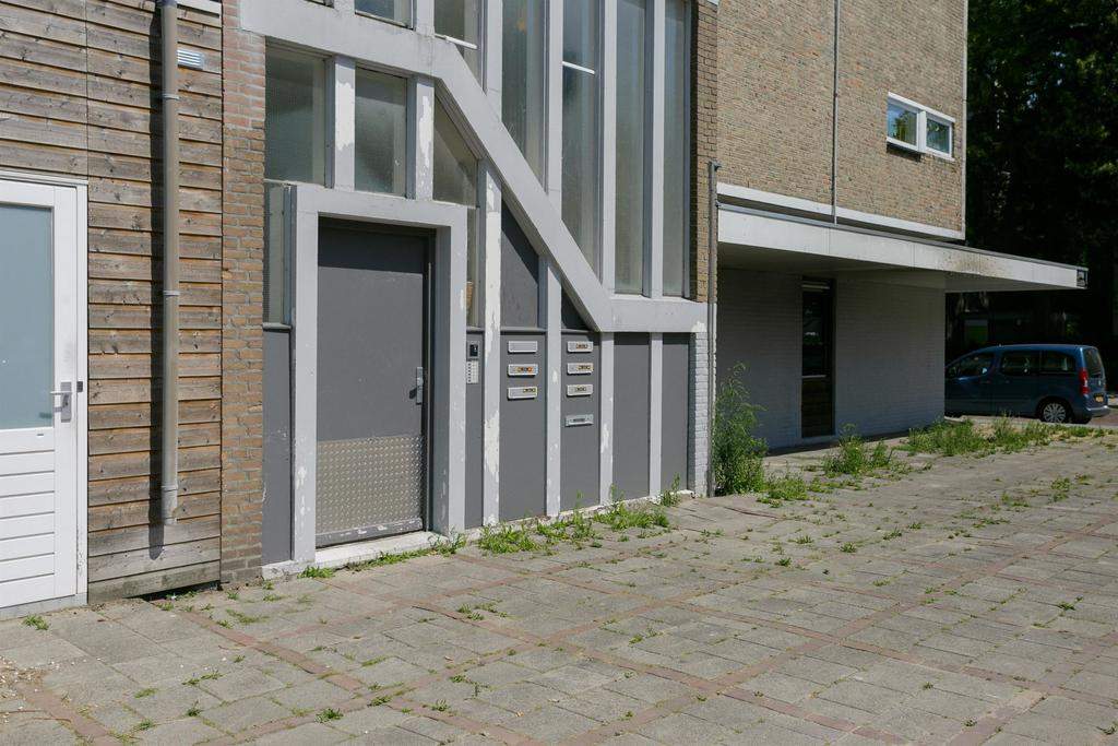 Afbeelding 2 van 25