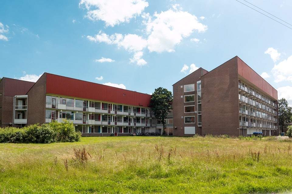 Afbeelding 1 van 8