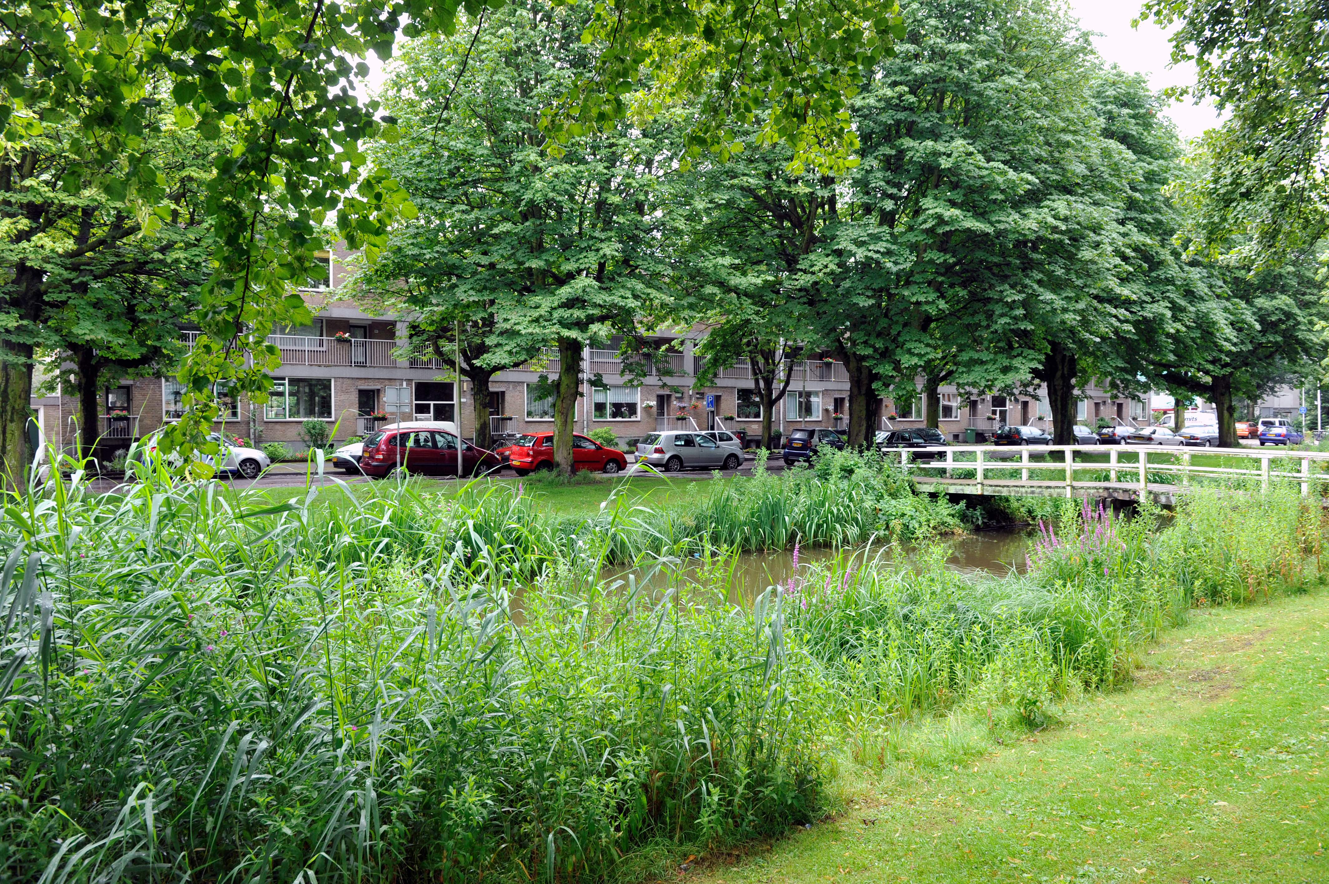 Afbeelding 2 van 3