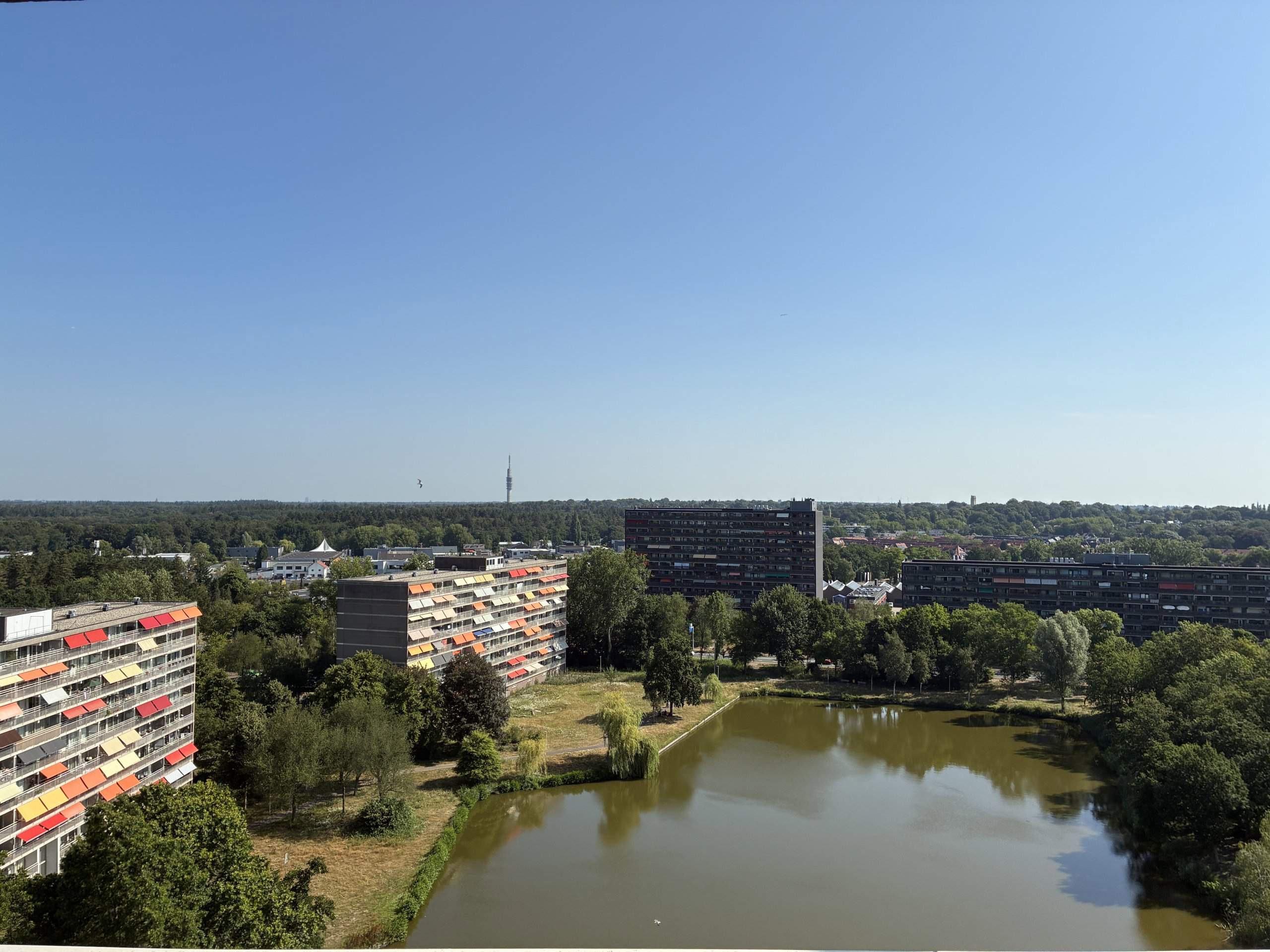 Image 15 sur 17