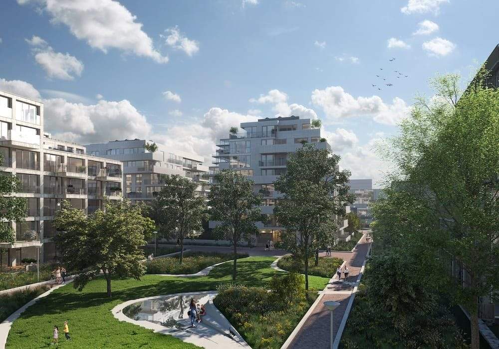 Image 11 sur 12