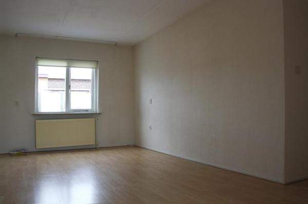 Image 4 of 12